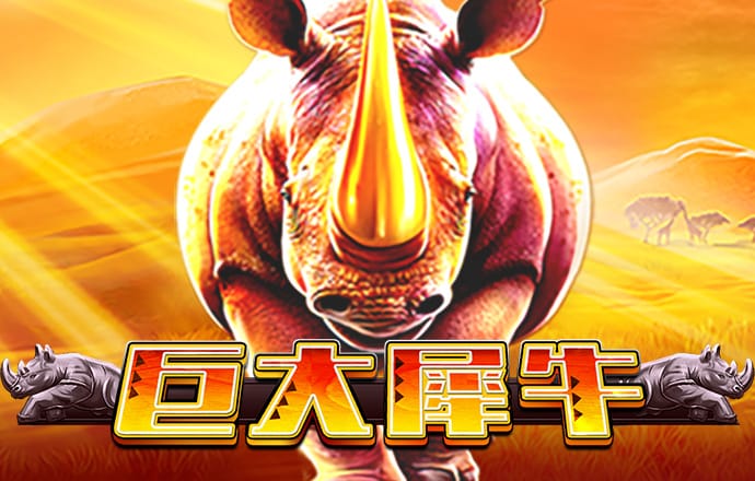 老财神78049最新版本更新
